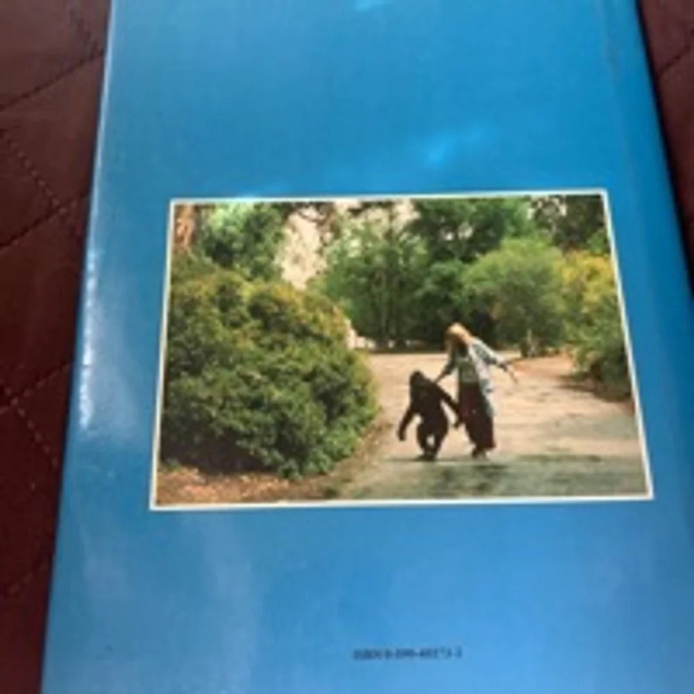 Unisex Scholastic Koko's Story Book